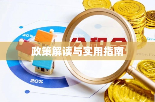 南阳政策解读与实用指南