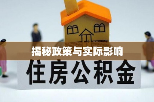 南阳揭秘政策与实际影响