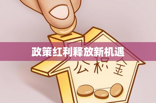 南阳政策红利释放新机遇