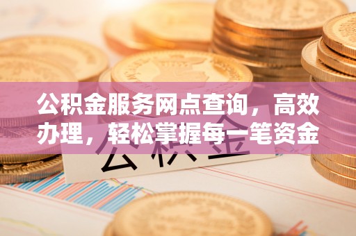 南阳公积金服务网点查询，高效办理，轻松掌握每一笔资金动态