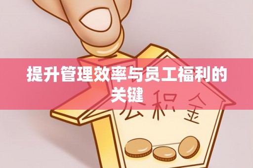 南阳提升管理效率与员工福利的关键