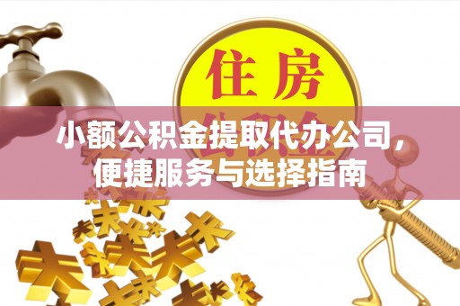 南阳小额公积金提取代办公司，便捷服务与选择指南