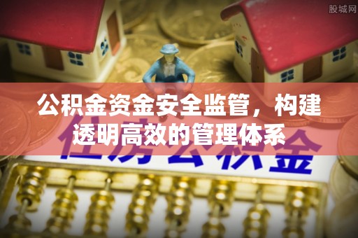 南阳公积金资金安全监管，构建透明高效的管理体系