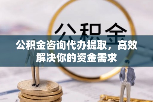 南阳公积金咨询代办提取，高效解决你的资金需求