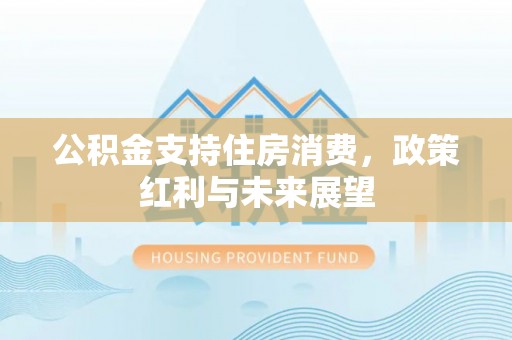 南阳公积金支持住房消费，政策红利与未来展望
