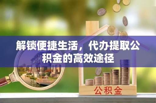 南阳解锁便捷生活，代办提取公积金的高效途径