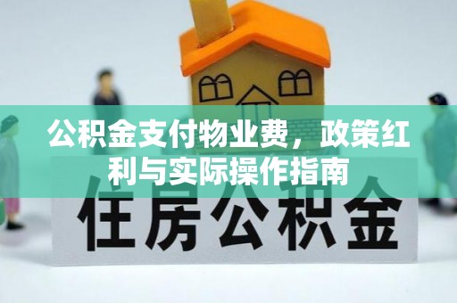 南阳公积金支付物业费，政策红利与实际操作指南