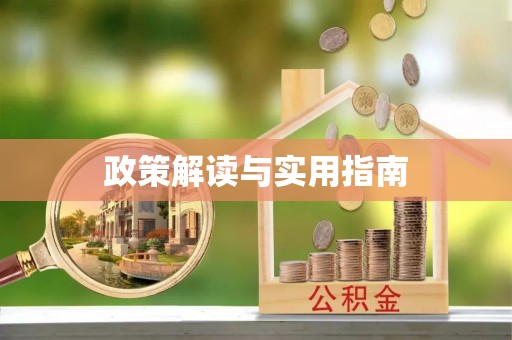南阳政策解读与实用指南