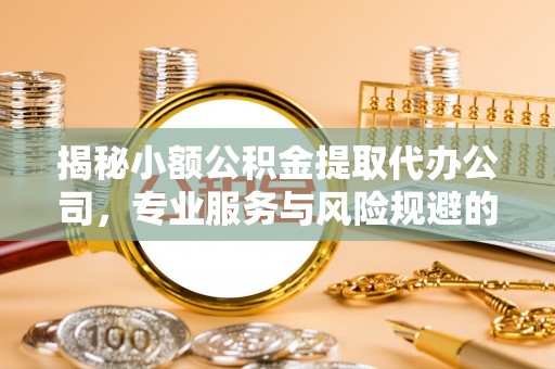 南阳揭秘小额公积金提取代办公司，专业服务与风险规避的平衡艺术
