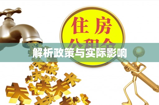 南阳解析政策与实际影响