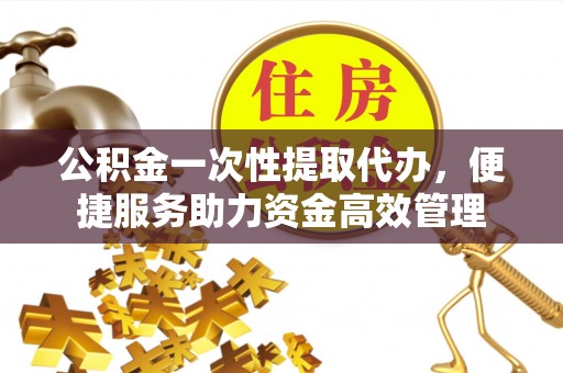 南阳公积金一次性提取代办，便捷服务助力资金高效管理