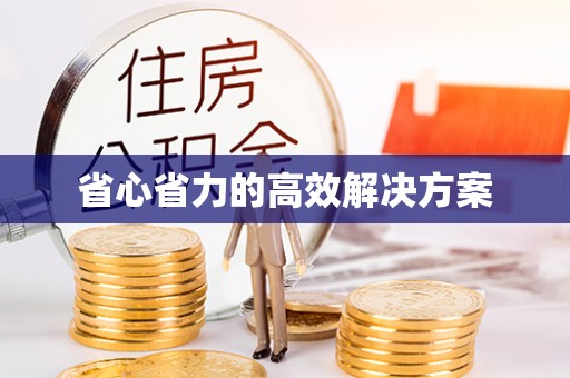 南阳省心省力的高效解决方案