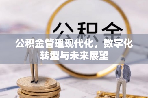 南阳公积金管理现代化，数字化转型与未来展望