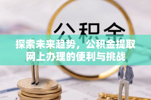 南阳探索未来趋势，公积金提取网上办理的便利与挑战