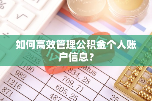南阳如何高效管理公积金个人账户信息？