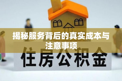 南阳揭秘服务背后的真实成本与注意事项