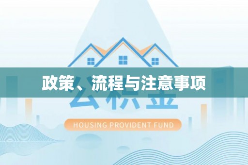 南阳政策、流程与注意事项