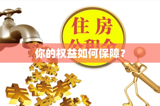 南阳你的权益如何保障？