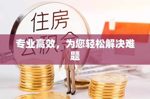 南阳专业高效，为您轻松解决难题