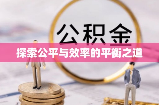 南阳探索公平与效率的平衡之道