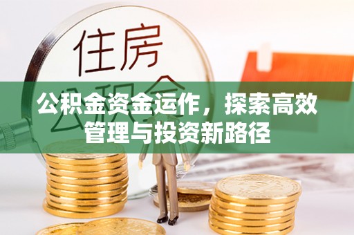 南阳公积金资金运作，探索高效管理与投资新路径