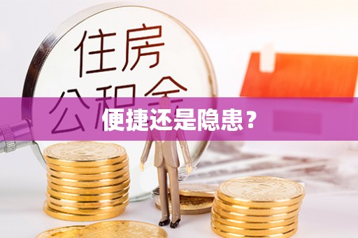 南阳便捷还是隐患？