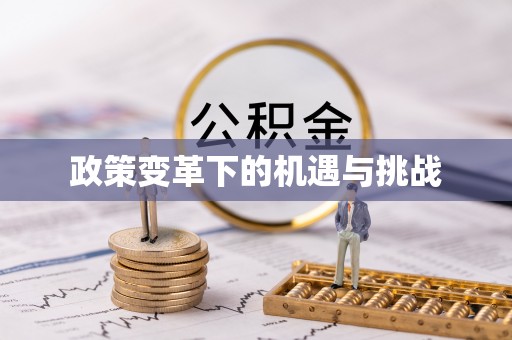 南阳政策变革下的机遇与挑战