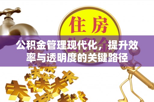 南阳公积金管理现代化，提升效率与透明度的关键路径