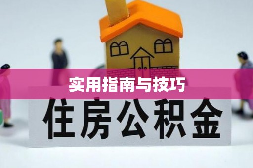 南阳实用指南与技巧