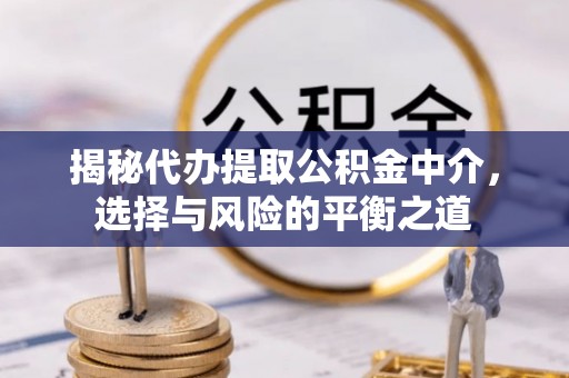 南阳揭秘代办提取公积金中介，选择与风险的平衡之道