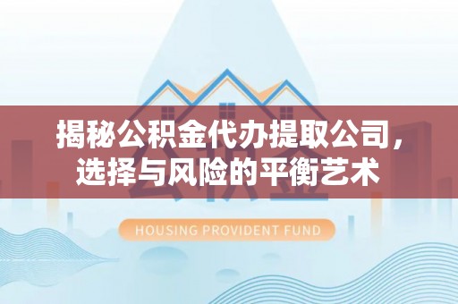 南阳揭秘公积金代办提取公司，选择与风险的平衡艺术