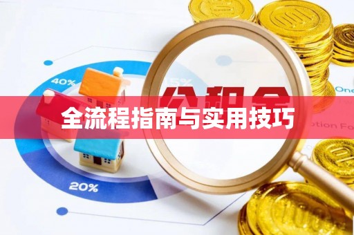 南阳全流程指南与实用技巧