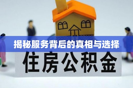 南阳揭秘服务背后的真相与选择