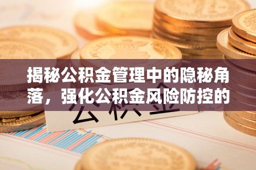 南阳揭秘公积金管理中的隐秘角落，强化公积金风险防控的必要性与路径
