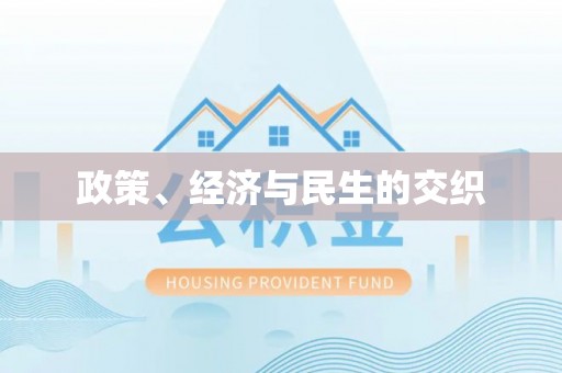 南阳政策、经济与民生的交织