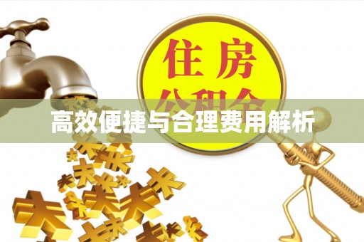 南阳高效便捷与合理费用解析