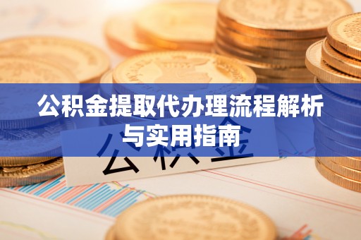 南阳公积金提取代办理流程解析与实用指南