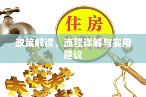 南阳政策解读、流程详解与实用建议