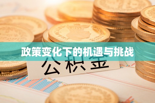 南阳政策变化下的机遇与挑战