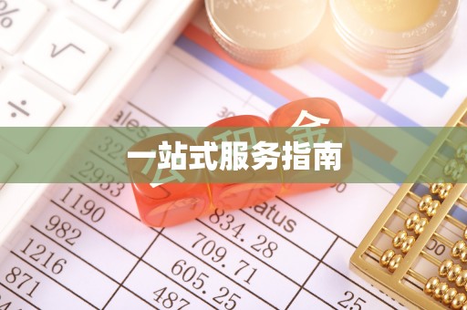 南阳一站式服务指南