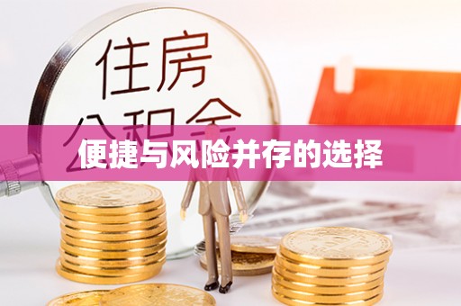 南阳便捷与风险并存的选择