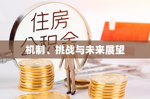 南阳机制、挑战与未来展望