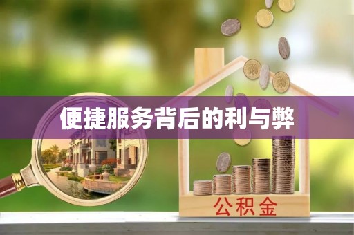 南阳便捷服务背后的利与弊