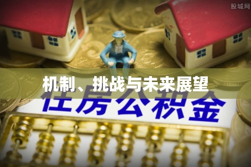 南阳机制、挑战与未来展望
